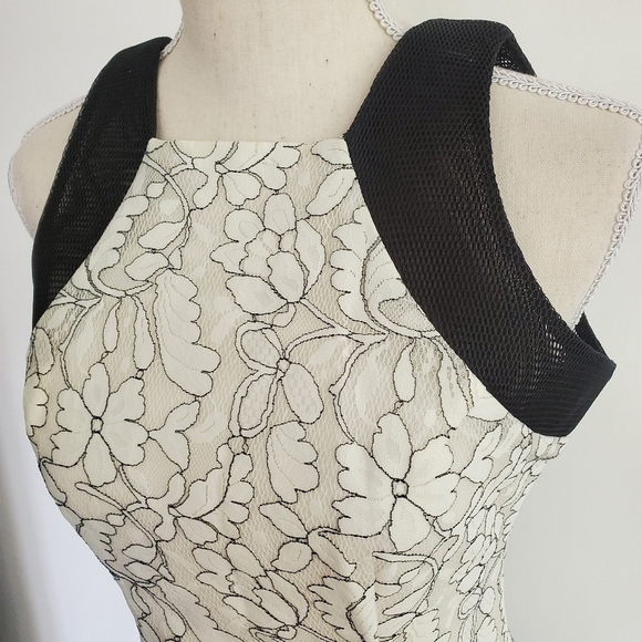 Belle Badgley Mischka Black & White Lace Mesh Dress - Picture 4 of 10